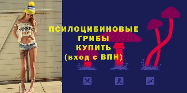 2c-b Медногорск